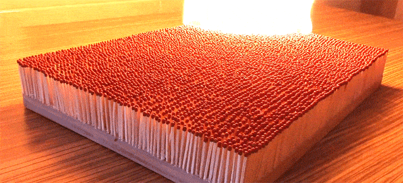 «Произошел скам международного масштаба»: что случилось с Banger Fest