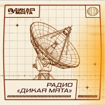 Радио Дикая Мята